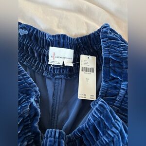 Anthropologie Royal Blue Velvet Pants